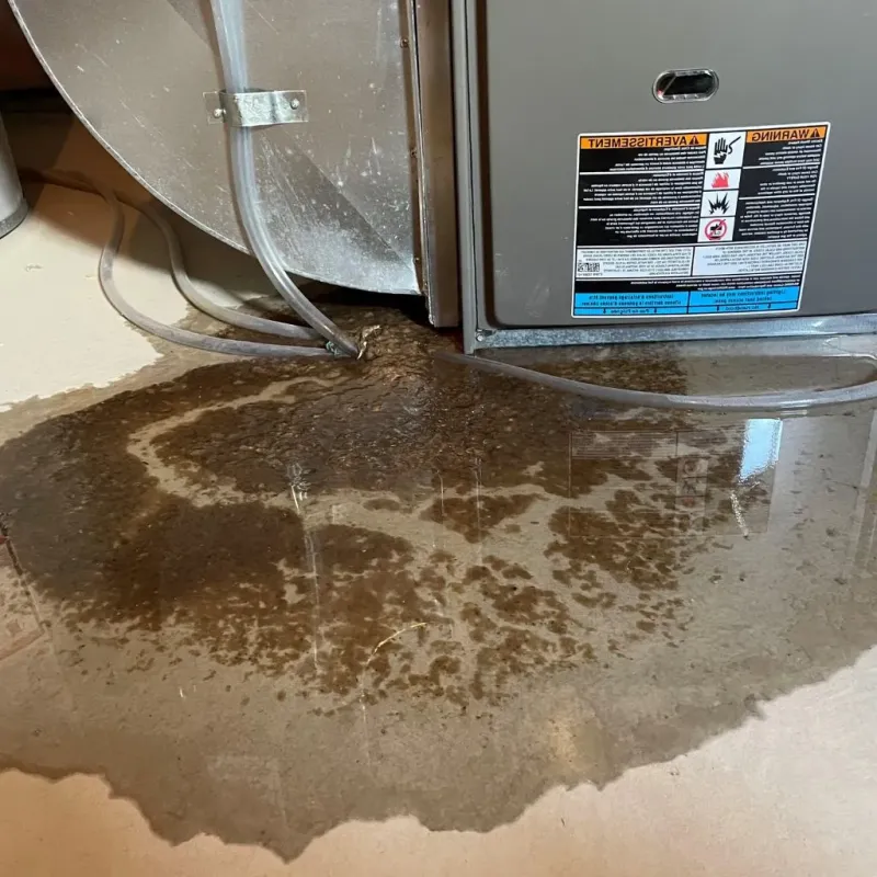 Pipe Burst and Leak Restoration in Dover, OH